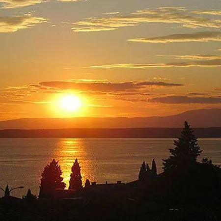 Davor Apartman