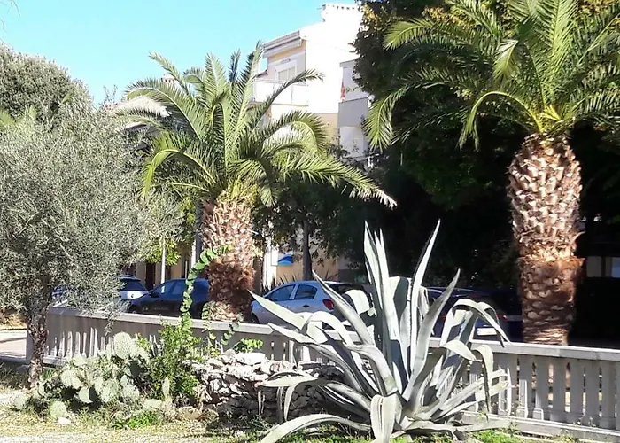 Davor U Centru Crikvenice, Sa Pogledom Na